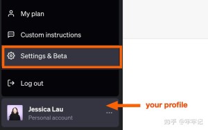 怎样关闭和删除chatgpt聊天记录