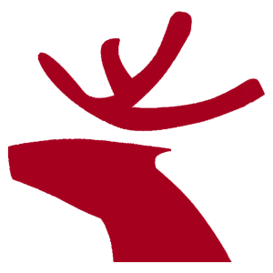 王迁：ChatGPT生成物与“猕猴自拍”无异，不应受著作权法保护