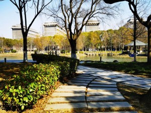 会计如何应对ChatGPT的冲击？