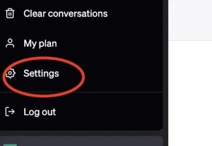 《解锁GPT-4插件 联网功能保姆级教程》 7款超好用精选插件详细介绍！