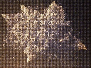 2025年4月最新指南，用GPT-4o学钢琴，零基础也能轻松入门