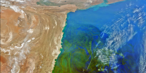 金融时报携手 OpenAI 赋能 ChatGPT，拓展新闻获取新途径