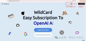 国内用户如何购买并使用OpenAI API，完整指南