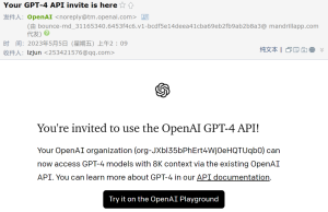 我的 GPT4 API 申请通过啦