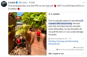 OpenAi o1 就是此前 OpenAI 从山姆・奥特曼到科学家们一直在"高调宣传"的草莓大模型