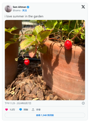 ChatGPT-5代号可能是“草莓”