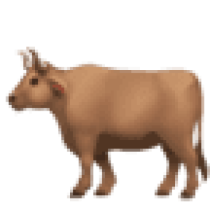 OpenAI发布Sora,官网入口sora.com,CHATGPT Plus和Pro用户免费用